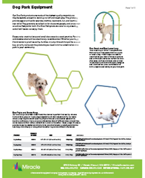 catcov-08miracledogequipment