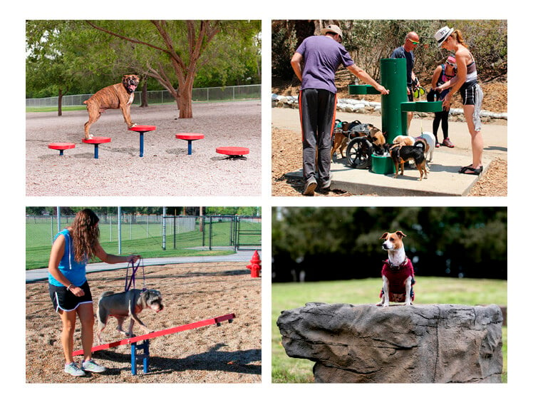 May Rec Dog-Park Furnishings photo 1-15-25