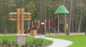 eagle springs play structure